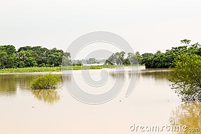 Flood Stock Photo