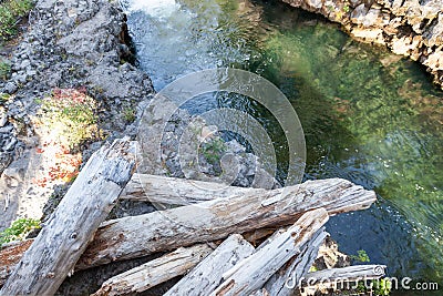 Flood Logs by River Stock Photo