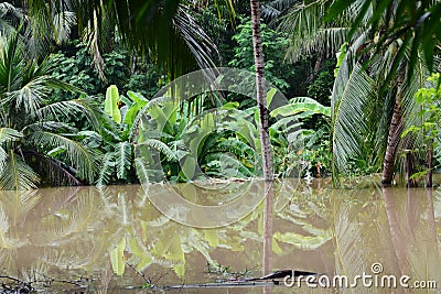 Devastating flood Stock Photo