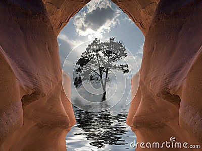 Flooded Cavern and tree Stock Photo