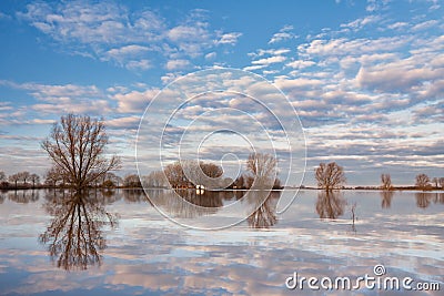 Flooded farm field in front of the Dutch river IJssel Stock Photo