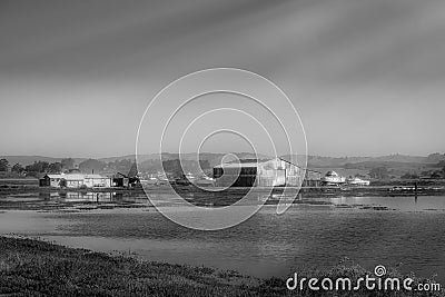 Flooded farm field Stock Photo