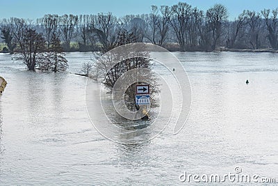 Flooded forest land, flood plain Stock Photo