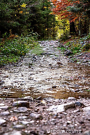 Flooded path above the Great Waterfall of Tendon Stock Photo