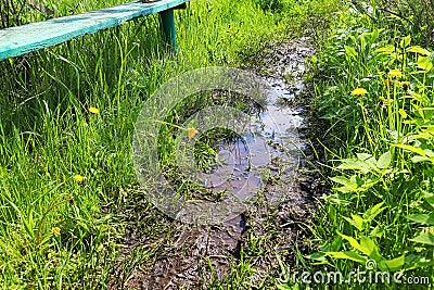 Flooded path in the garden after a heavy summer rain. Stock Photo