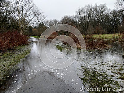 Flooded path in park Stock Photo