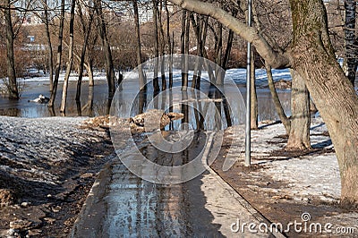 Flooded path in the park in spring Stock Photo