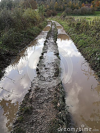 Flooded path with puddles Stock Photo