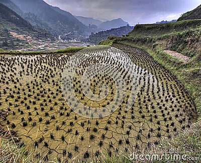 Flooded rice fields in china, Xijiang miao village, Guizhou Prov Stock Photo
