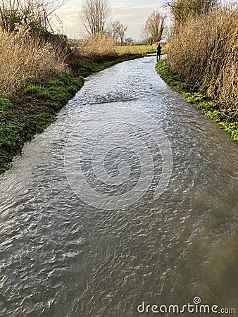 Flooded rural lane in winter, Somerset, UK Stock Photo