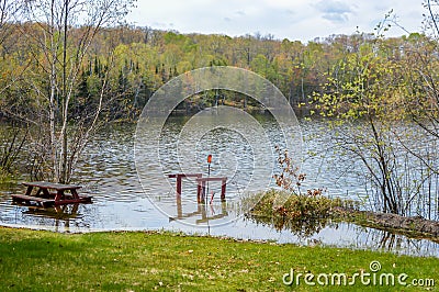 Flooded Shoreline of Northwoods Wisconsin Lake Stock Photo