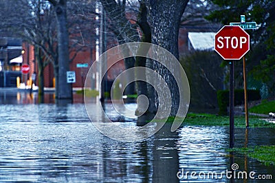 Flooded Street Stock Photo