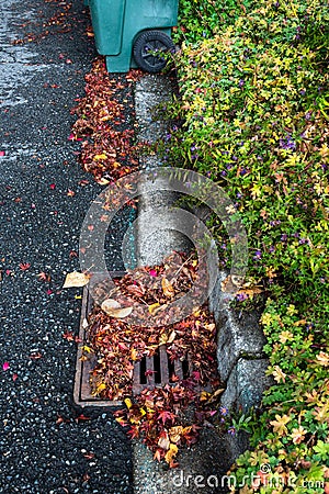 Flooding threat, fall leaves clogging a storm drain, street, curb, garden, yard waste container Stock Photo