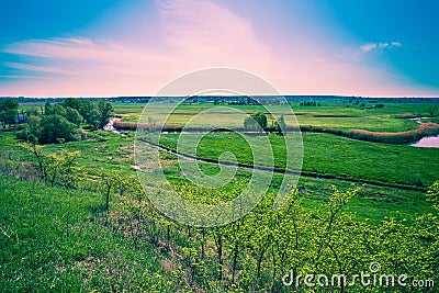 Floodplain meadow in spring Stock Photo