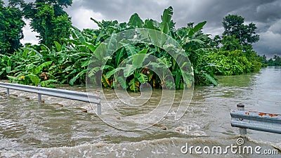 Extreme weather causing agricultural flooding in the Philippines. Stock Photo