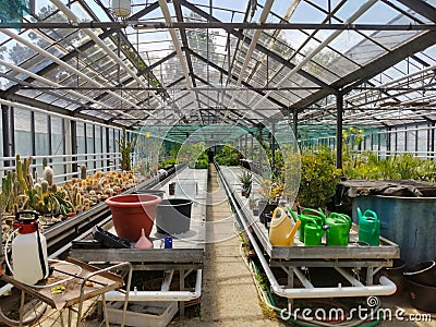 Flora Olomouc, czech - exhibition of plants in greenhouse Editorial Stock Photo
