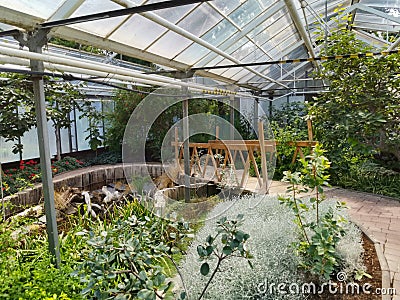 Flora Olomouc, czech - exhibition of plants in greenhouse Editorial Stock Photo