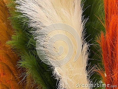 floral abstract background furry white green and reds Stock Photo