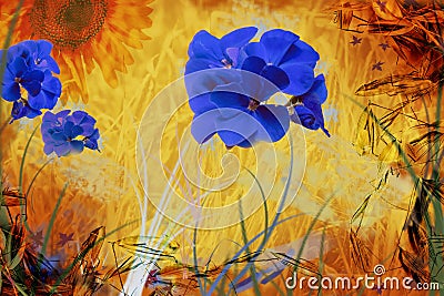 Floral abstract collage of simple summer flowers Stock Photo