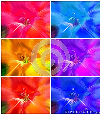 floral abstract colorful backgrounds collage Stock Photo