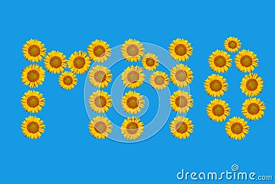 Floral alphabet made from flowers of sunflower. Stock Photo