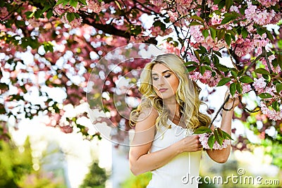 Floral aroma. Harmony esoterics and female energy. Spring blossoming tree. Spring symbol. Reasons why flowers always Stock Photo