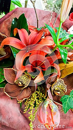 Floral arrangement with asiatic lillies Stock Photo