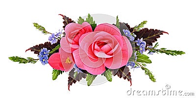 Floral arrangement with begonia and small blue flowers Stock Photo