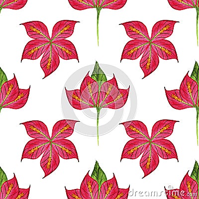 Floral arrangement of spathiphyllum flowers. Seamless pattern for fabric design. Watercolor illustration drawn by hand. Cartoon Illustration