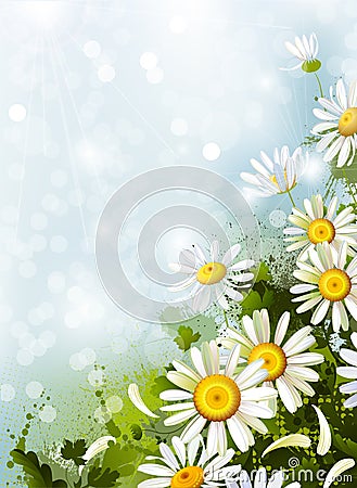 Floral background Vector Illustration