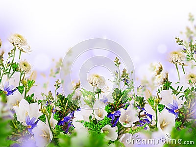 Floral background Stock Photo