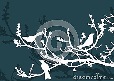 Floral Background, birds Vector Illustration