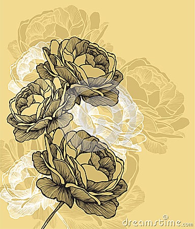Floral background with blooming roses, hand-drawing. Vector illustration Vector Illustration