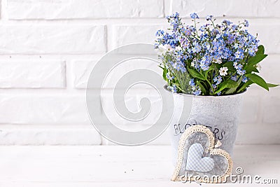 Floral background - blue forget-me-nots or myosotis flowers in Stock Photo