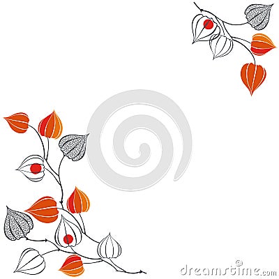Floral background with branches of physalis. Vector illustration with place for text . Can be used as greeting card, invitation or Vector Illustration