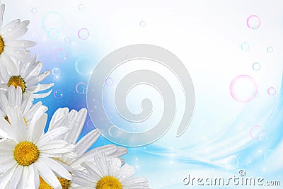 Floral background Stock Photo