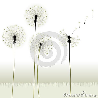 Floral background, dandelion Vector Illustration