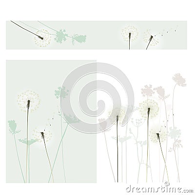 Floral background, dandelion Vector Illustration