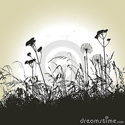 Floral background, dandelion Vector Illustration