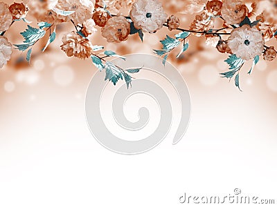 Floral background Stock Photo