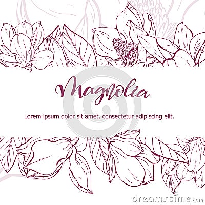 Sketch linear magnolia blossom. Vector Illustration