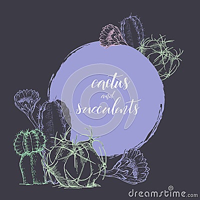 Sketch linear cactus ans succulents Vector Illustration