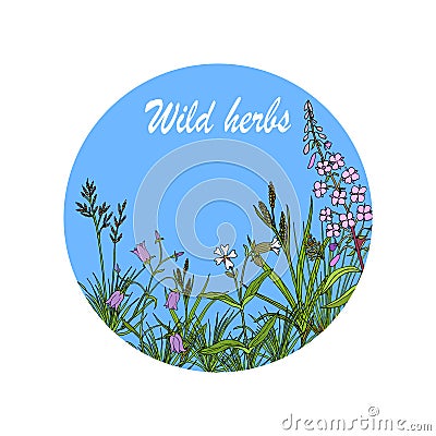 Floral background with hand drawn wild flowers, herbs and grasses Vector Illustration