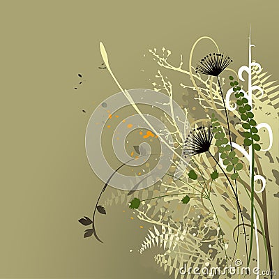 Floral background, meadow with wild plants Vector Illustration