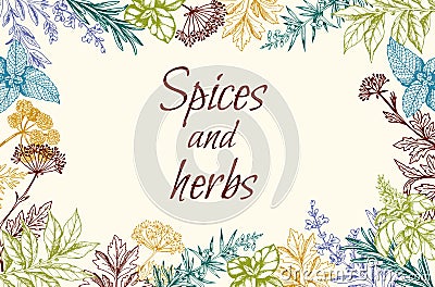 Floral background with spices and herbs Vector Illustration