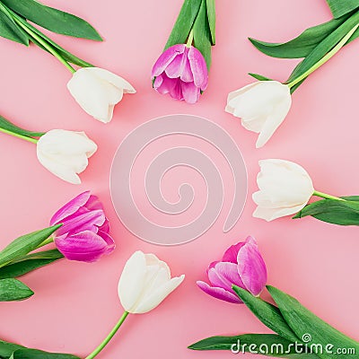 Floral background with tulips flowers on pink pastel background. Flat lay, top view. Spring time background. Stock Photo