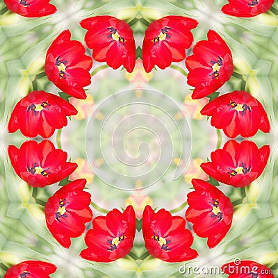 Floral background with vibrant colors flowers Stock Photo
