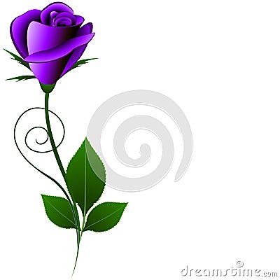 Floral background with violet rose. Vector Illustration