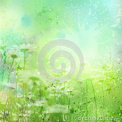 Floral background with watercolor camomile Stock Photo
