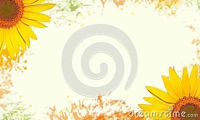 Floral background of yellow flower of sunflower Stock Photo